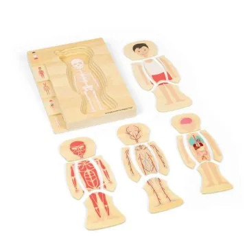 Bigjigs lesena sestavljanka človeško telo deček z več plastmi anatomije