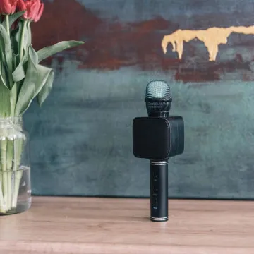 FOREVER Otroški mikrofon z bluetooth zvočnikom BMS-400, črna