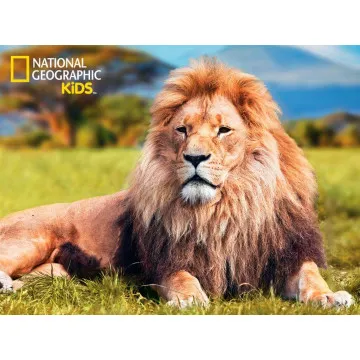 PRIME 3D Puzzle sestavljanke Lev