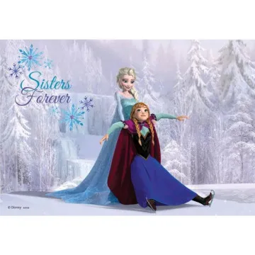 RAVENSBURGER Puzzle Frozen 2x24d Ice